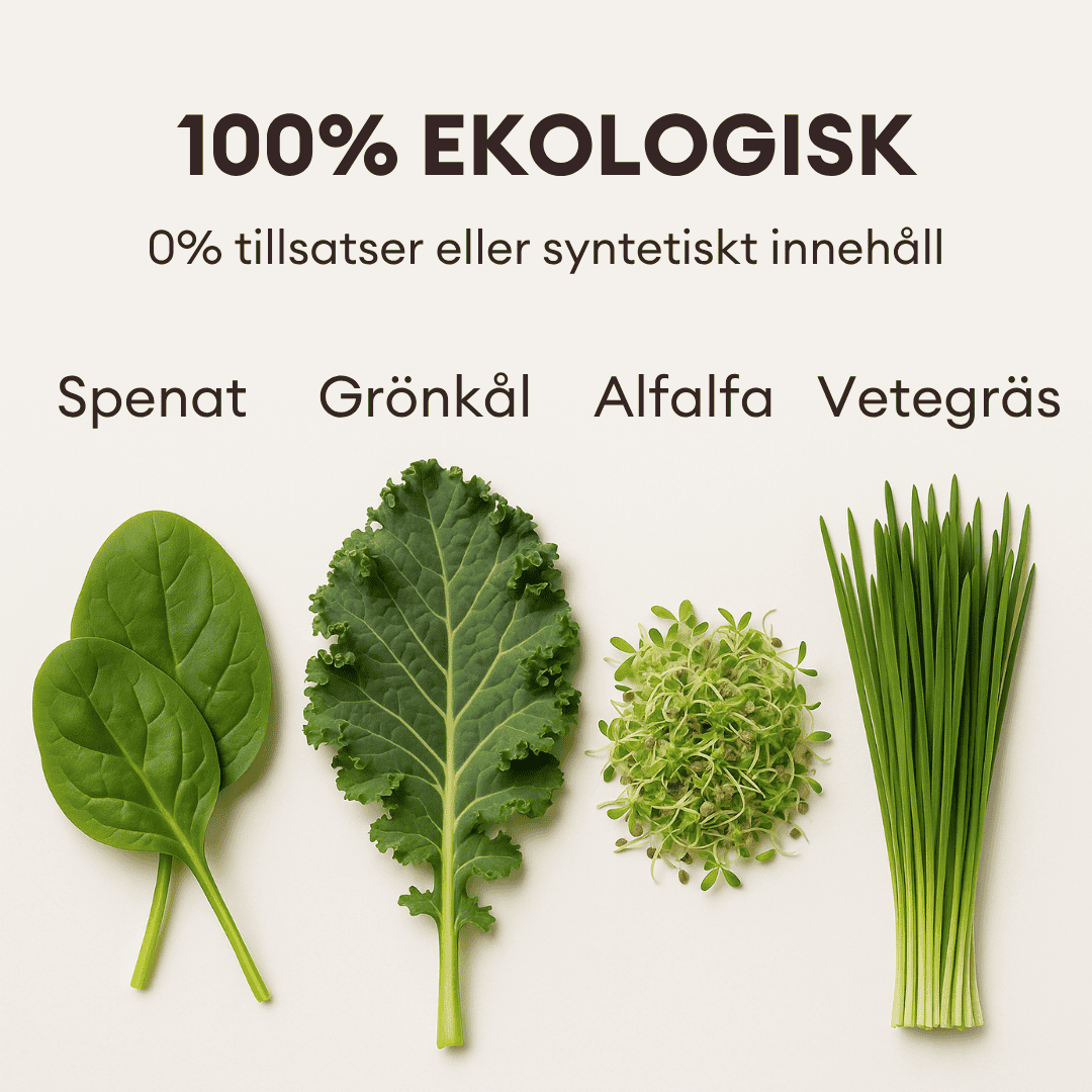 Din Dagliga Gröna Superfood Detox