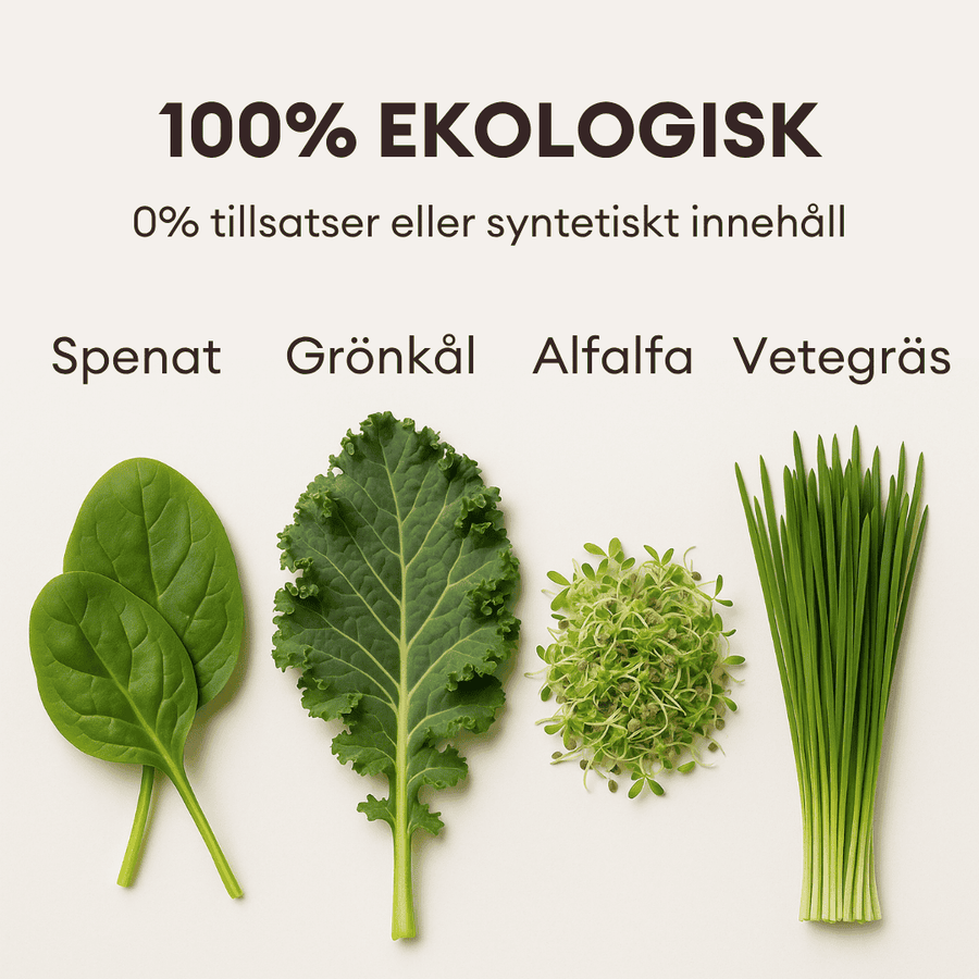 Din Dagliga Gröna Superfood Detox
