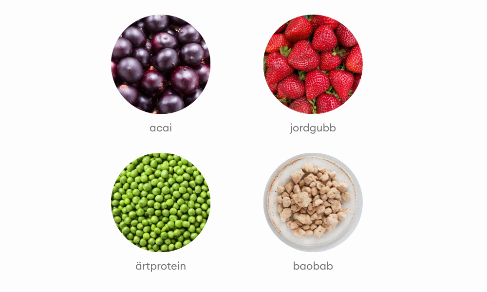 Berry Strong huvudingredienser